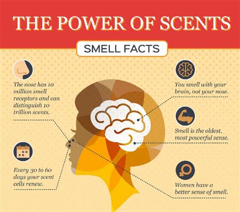 The Power of Smell in Marketing: How Businesses Use Fragrance to Create an Experience
